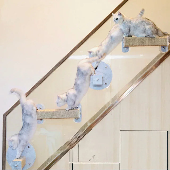 Wall-mounted cat tree - Window - VueMiaou