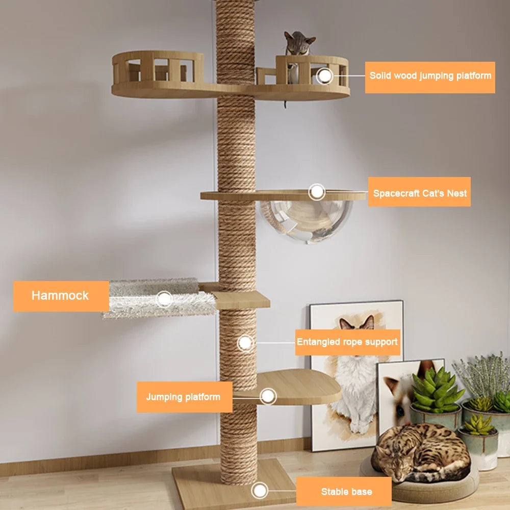 XXL Naturholz-Kratzbaum vom Boden bis zur Decke mit Hängematte, Geeignet für große Katzen, Maine Coon - Modell: "SkyCat"