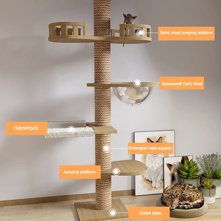 XXL Naturholz-Kratzbaum vom Boden bis zur Decke mit Hängematte, Geeignet für große Katzen, Maine Coon - Modell: "SkyCat"