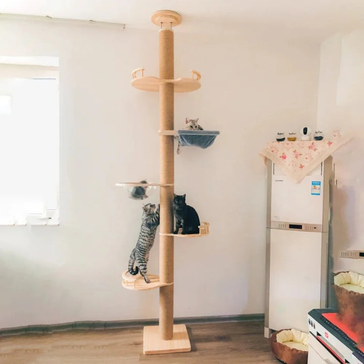 XXL Naturholz-Kratzbaum vom Boden bis zur Decke mit Hängematte, Geeignet für große Katzen, Maine Coon - Modell: "SkyCat"