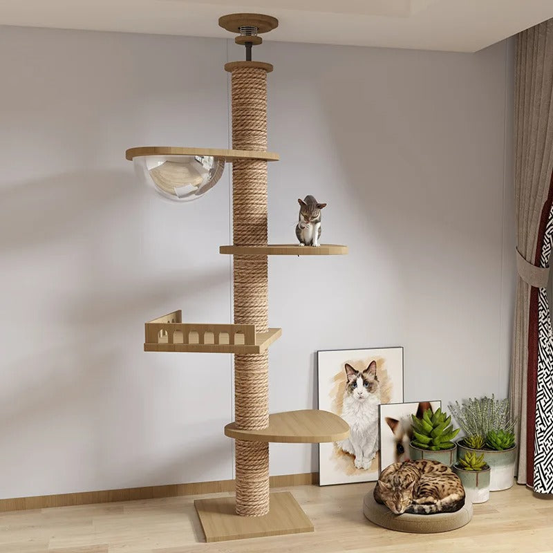 XXL Naturholz-Kratzbaum vom Boden bis zur Decke mit Hängematte, Geeignet für große Katzen, Maine Coon - Modell: "SkyCat"