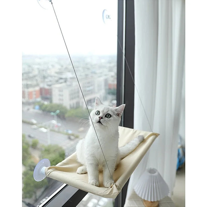 Arbre à chat fenêtre