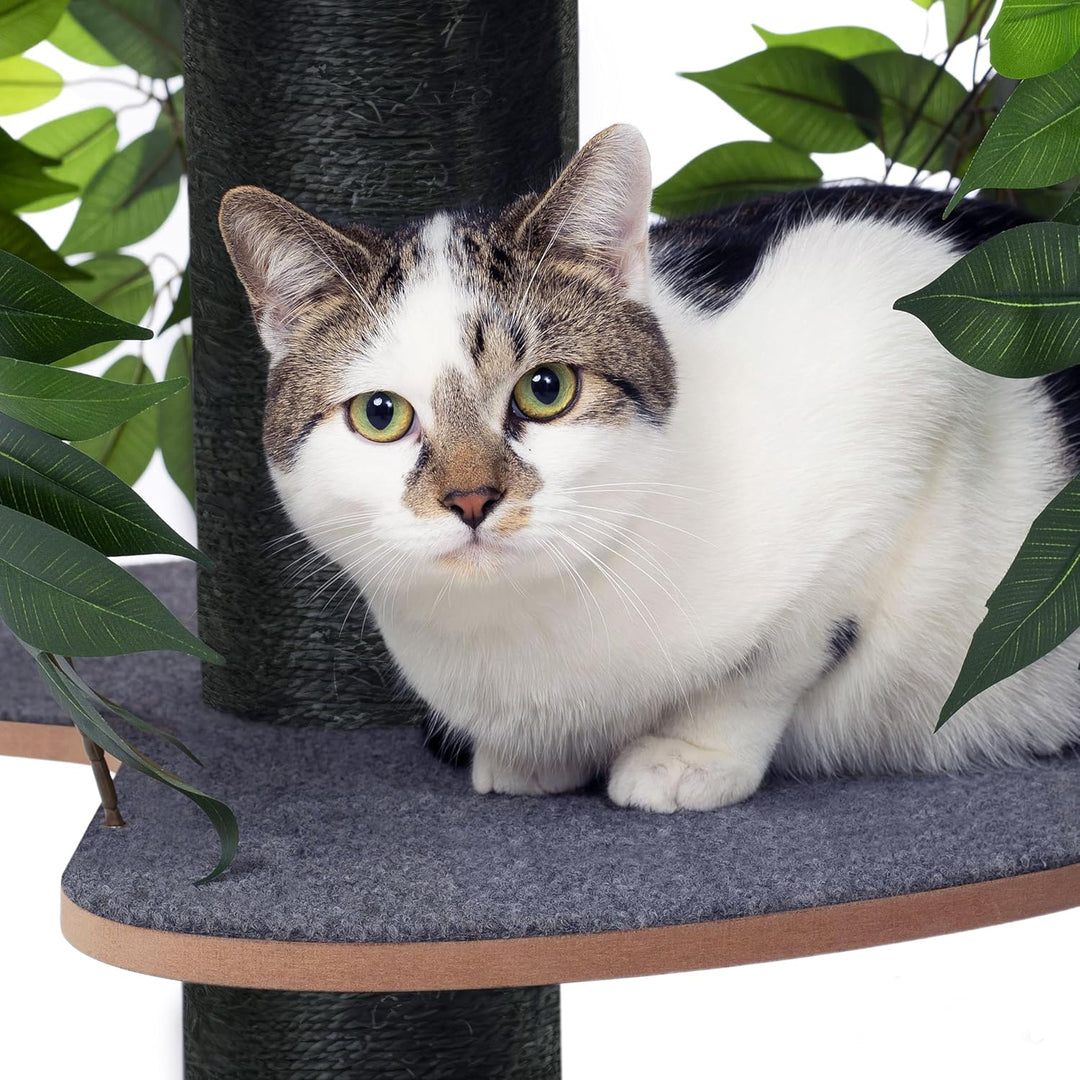 Natural design cat tree with leaves - "Chat'Canopée" model