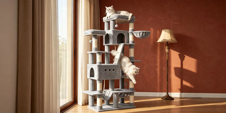 Arbre à chat XXL 201 cm gris clair pour Maine Coon avec hamacs