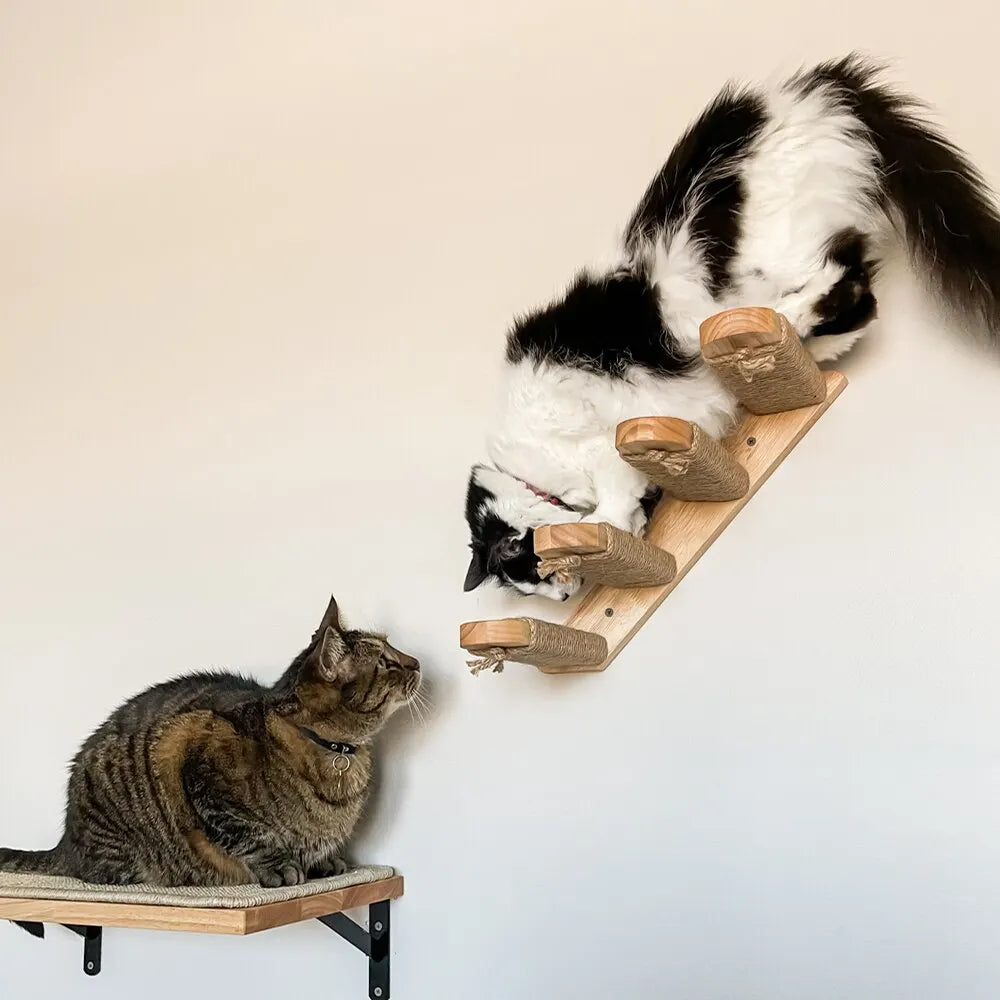 Wooden wall-mounted cat tree with transparent tube - MerveillesMurales