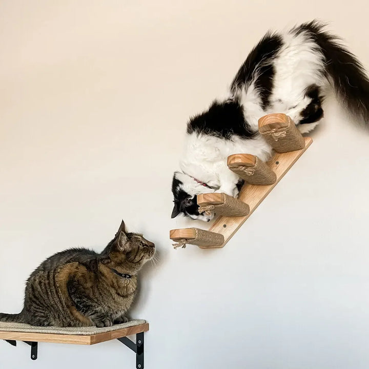 Wooden wall-mounted cat tree with transparent tube - MerveillesMurales