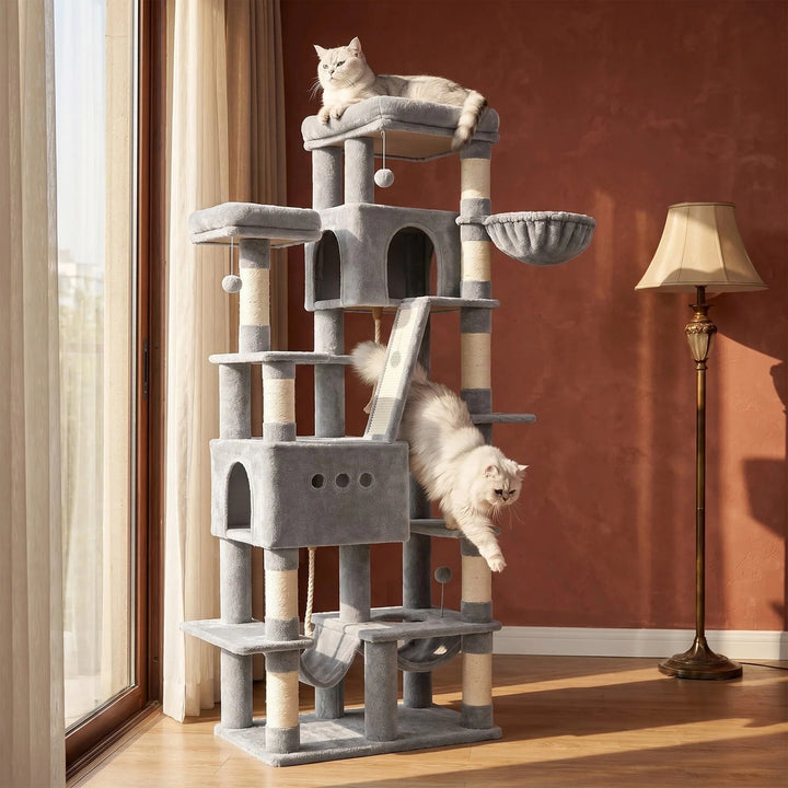 Arbre à chat XXL 201 cm gris clair pour Maine Coon avec hamacs
