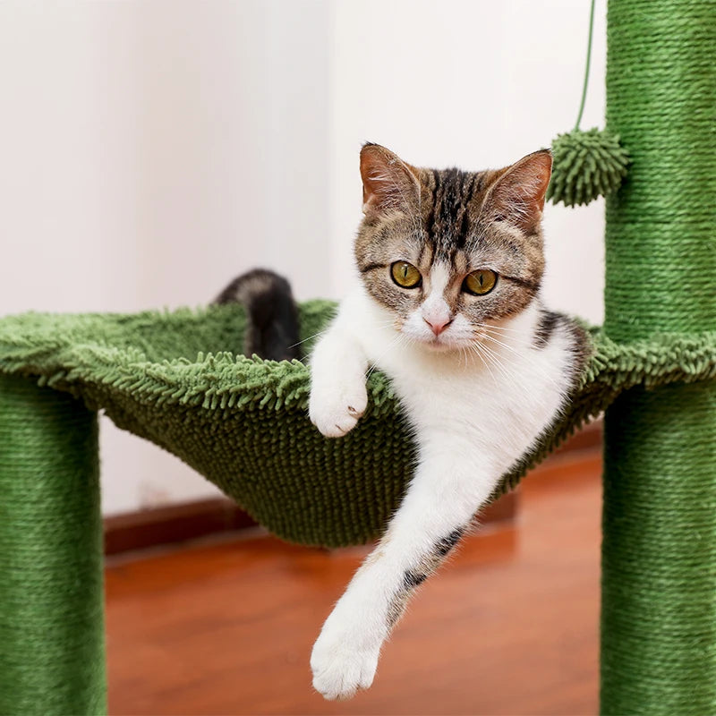Arbre a chat pas cher Cactus avec hamac - Modèle : "Cactou"