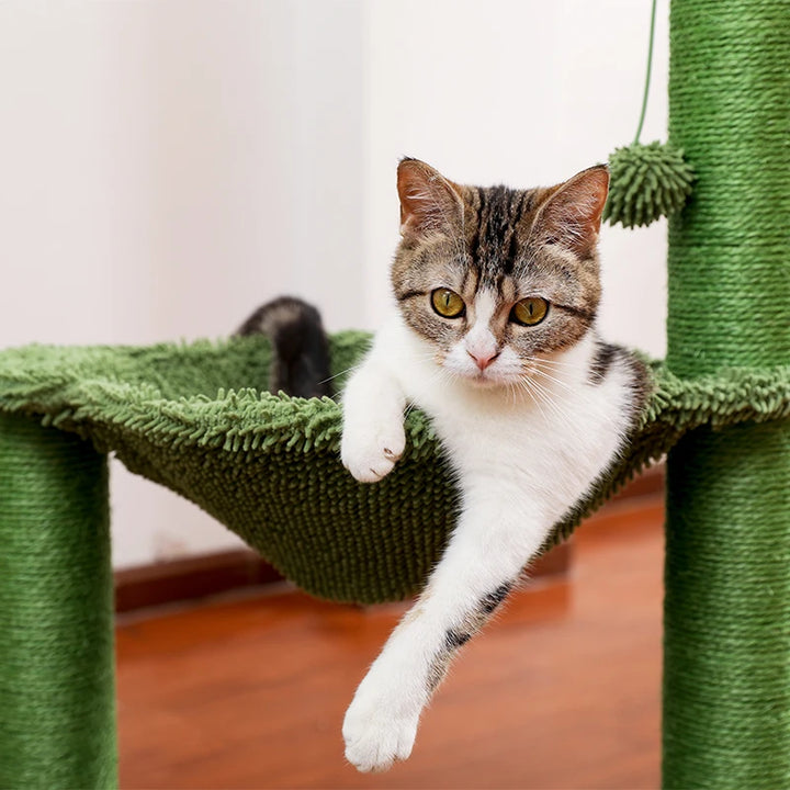 Arbre a chat pas cher Cactus avec hamac - Modèle : "Cactou"