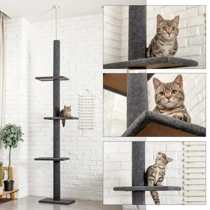 Maine Coon Cat Tree Adjustable from Floor to Ceiling - Model: "SkyTower"