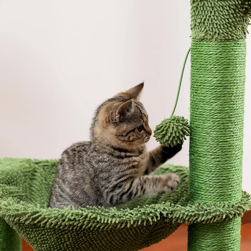 Arbre a chat pas cher Cactus avec hamac - Modèle : "Cactou"