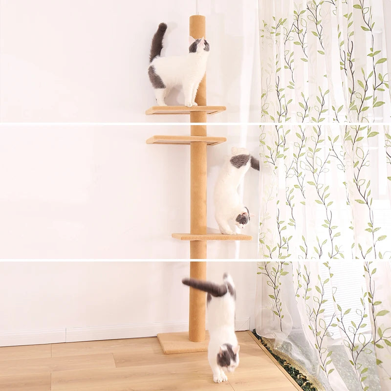 Maine Coon Cat Tree Adjustable from Floor to Ceiling - Model: "SkyTower"