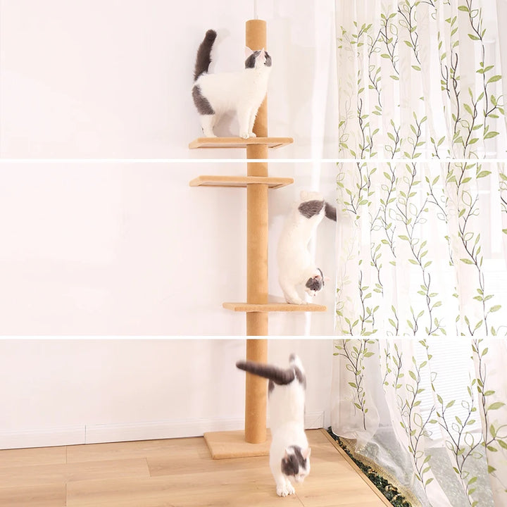 Maine Coon Cat Tree Adjustable from Floor to Ceiling - Model: "SkyTower"