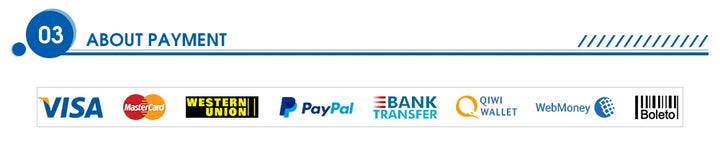 Options de paiement incluant Visa, MasterCard, PayPal et plus sur Shopify