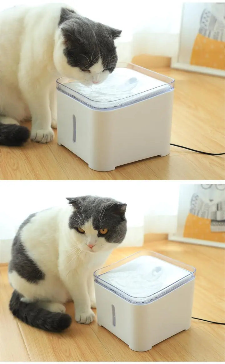 Distributeur d'eau automatique pour chat, blanc, avec un design moderne et fonction de filtration.