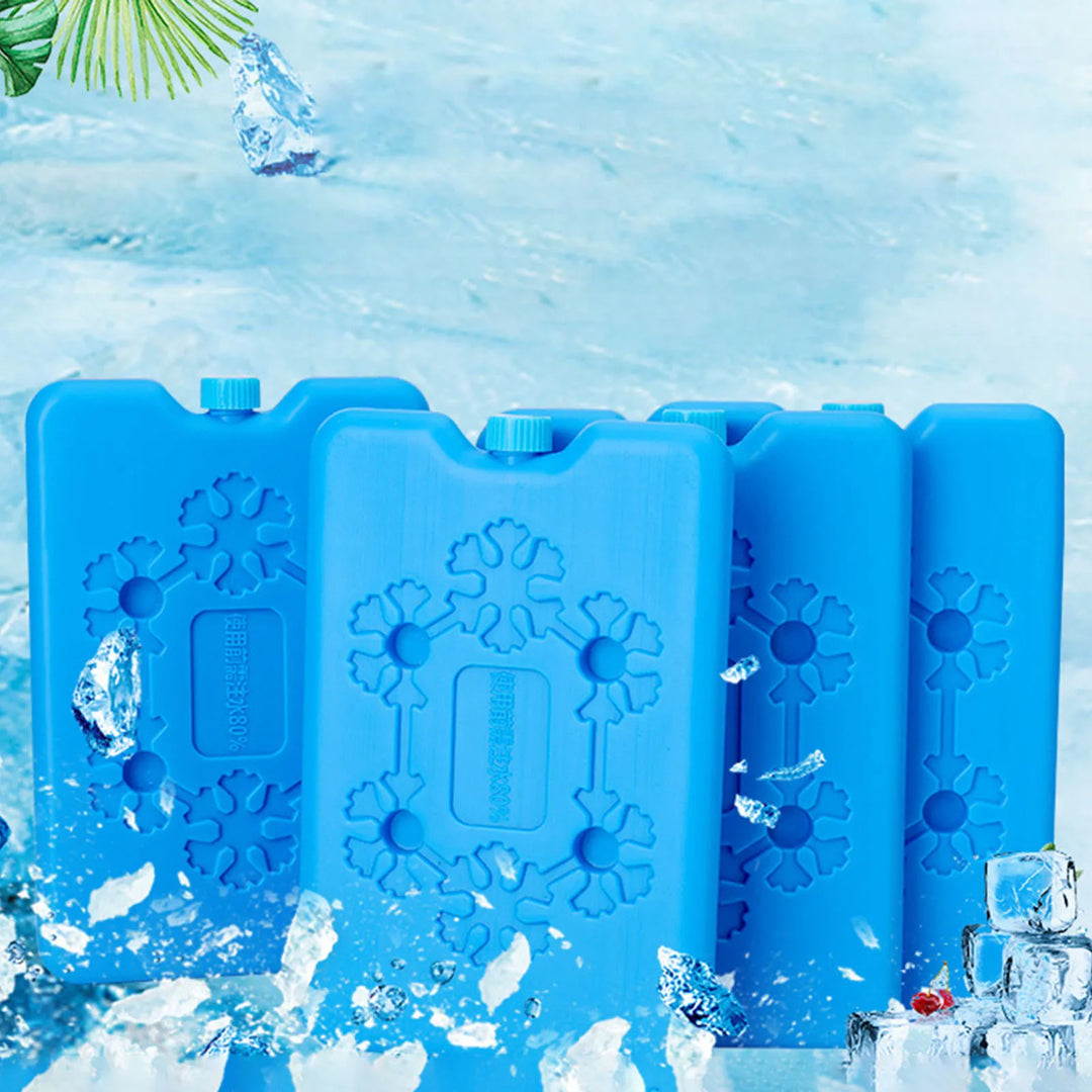 Blocs de glace pour maison pour chat climatisée FrostyCat