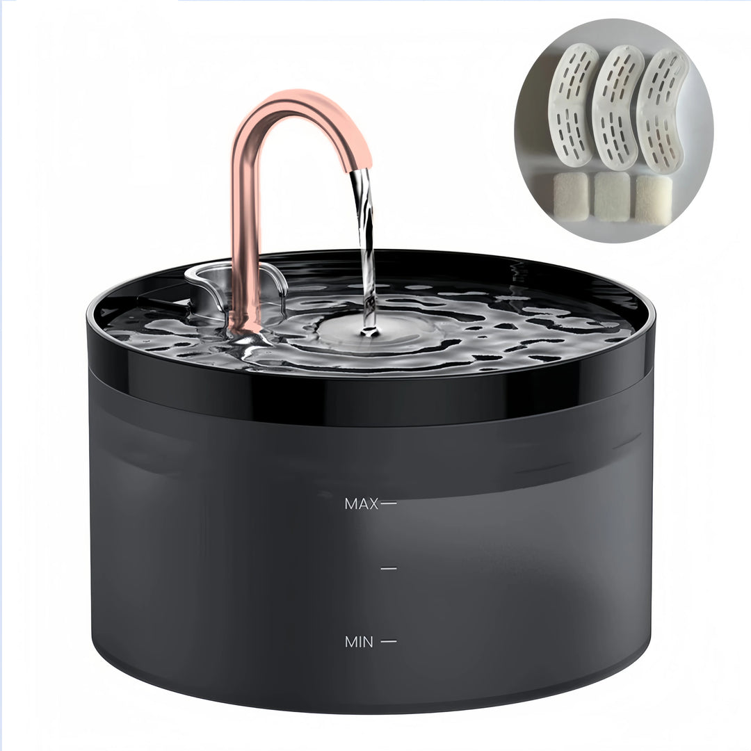 Fontaine à eau moderne noire avec robinet en cuivre et filtre, design élégant et pratique.