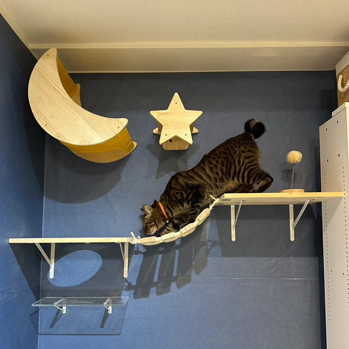 Wall-mounted cat tree collection - Suspension bridge and wall-mounted bowl - AcroChat