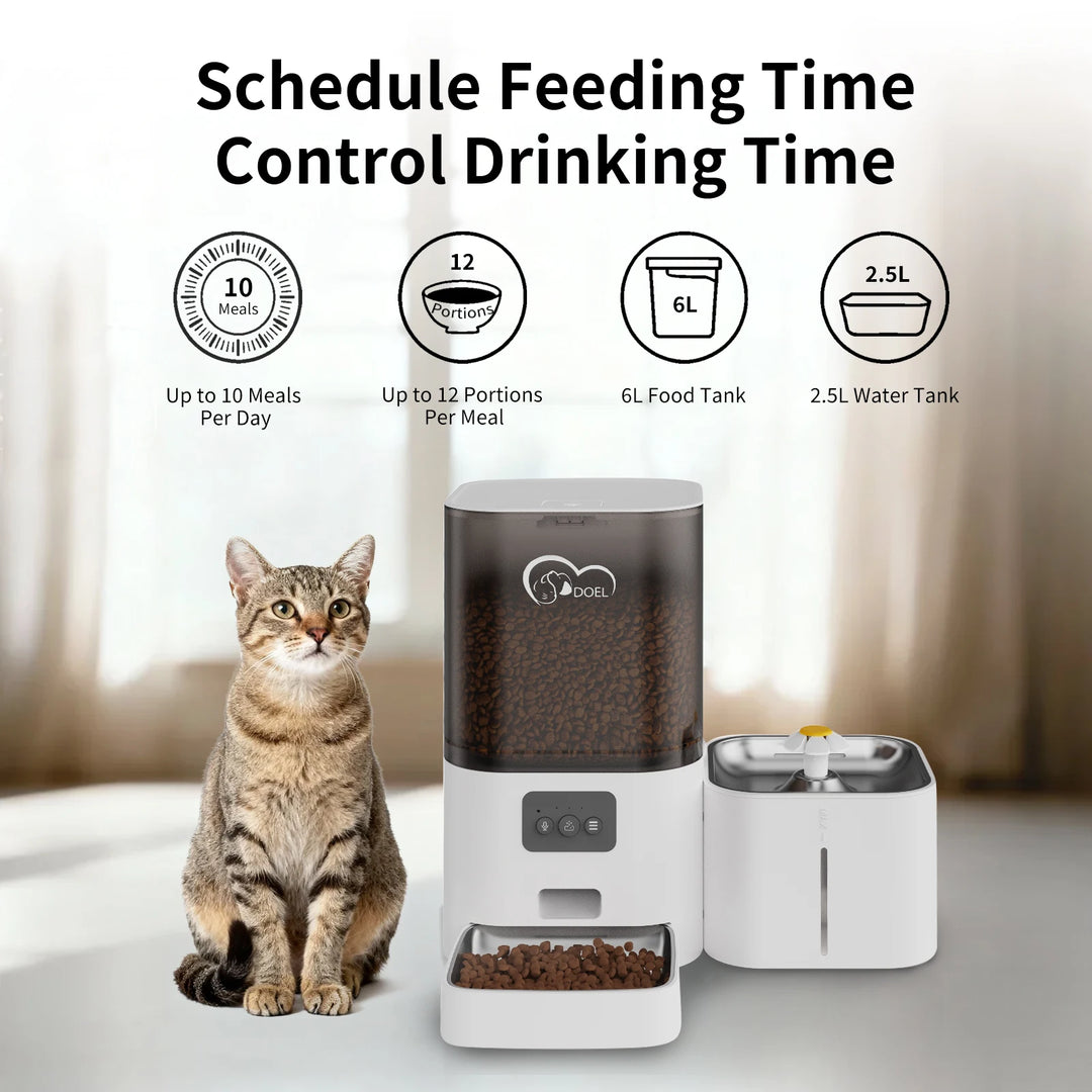 Distributeur automatique pour chats, blanc, 6L, 2.5L, 10 repas par jour, contrôle des portions.
