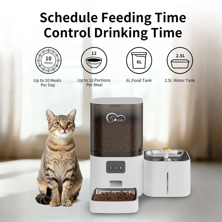 Distributeur automatique pour chats, blanc, 6L, 2.5L, 10 repas par jour, contrôle des portions.
