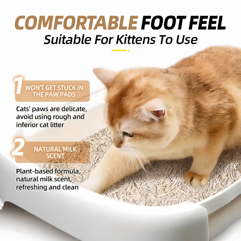 Litière Tofu Agglomérante Rapide – Modèle "EcoClump FastClean"