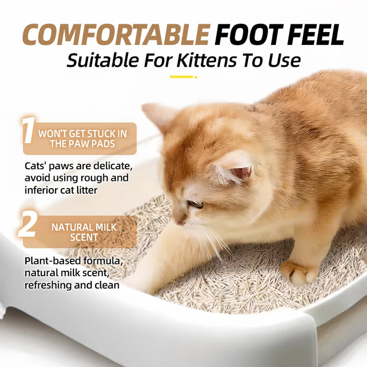 Litière Tofu Agglomérante Rapide – Modèle "EcoClump FastClean"