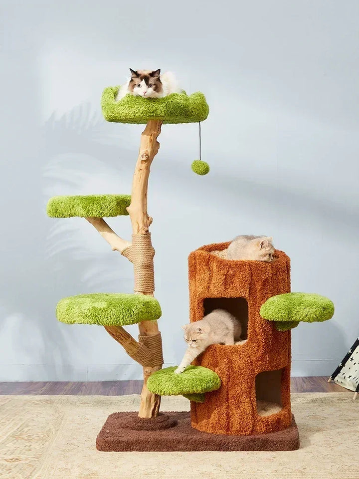 Designer-Kratzbaum - Garten und Stamm - HavreChat