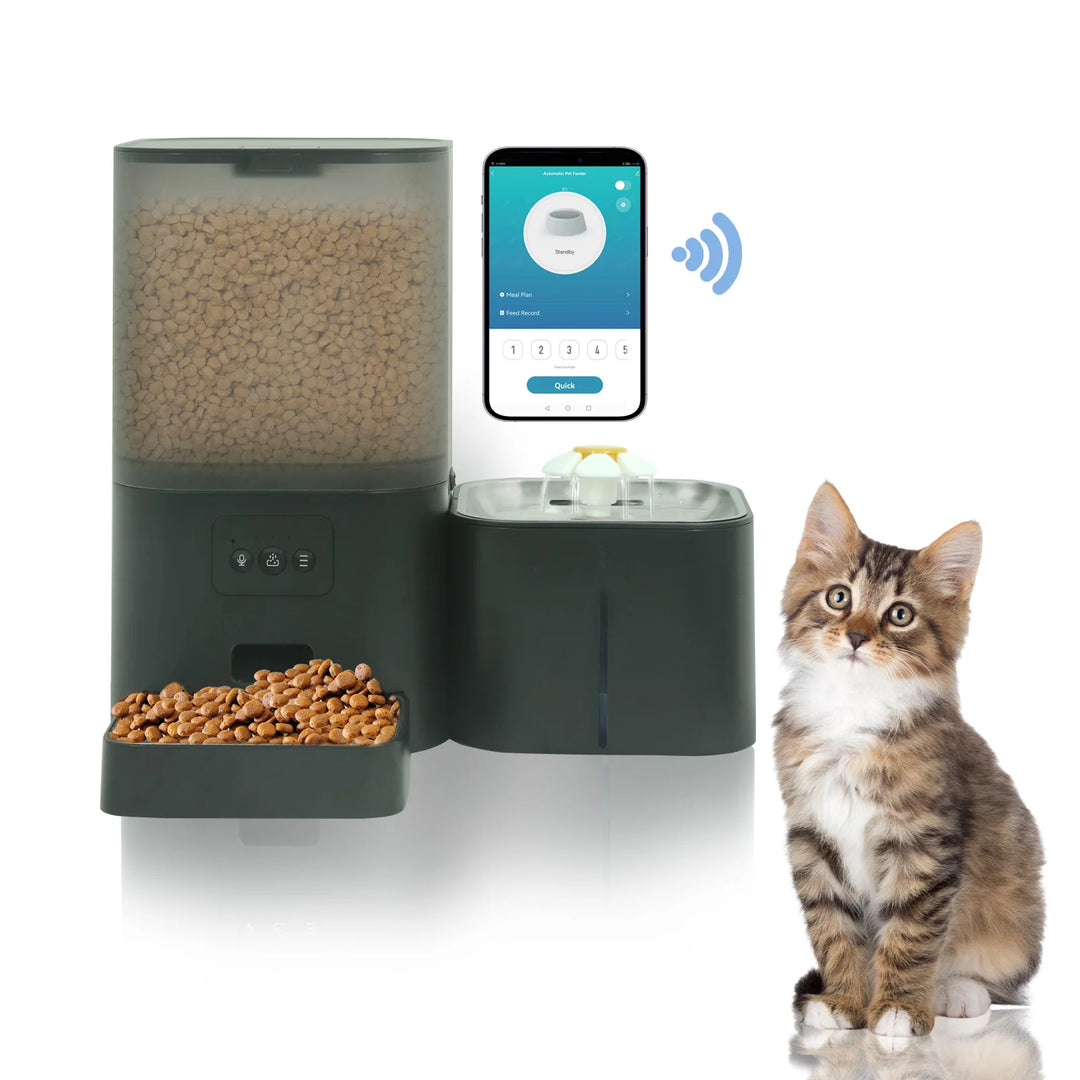 Distributeur automatique de croquettes pour chats vert, connecté via smartphone, capacité généreuse.