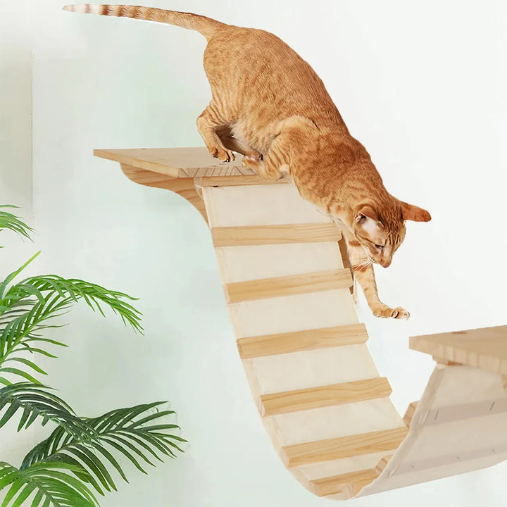 Wooden wall-mounted cat tree with transparent tube - MerveillesMurales