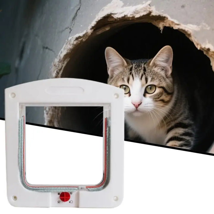chatière pour chat
