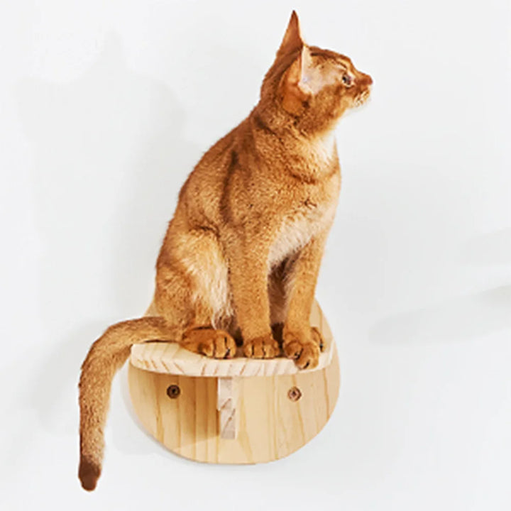 Nest wooden moon hammock cat tree