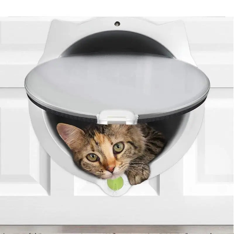 Chatière moderne blanche avec un chat tigré, idéale pour un accès facile et sécurisé.