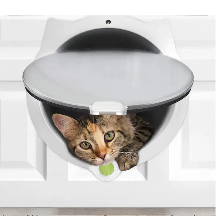Chatière moderne blanche avec un chat tigré, idéale pour un accès facile et sécurisé.