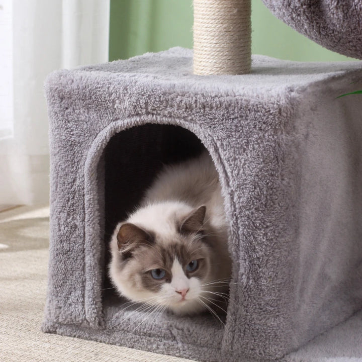 Hammock cat tree - Minetopia