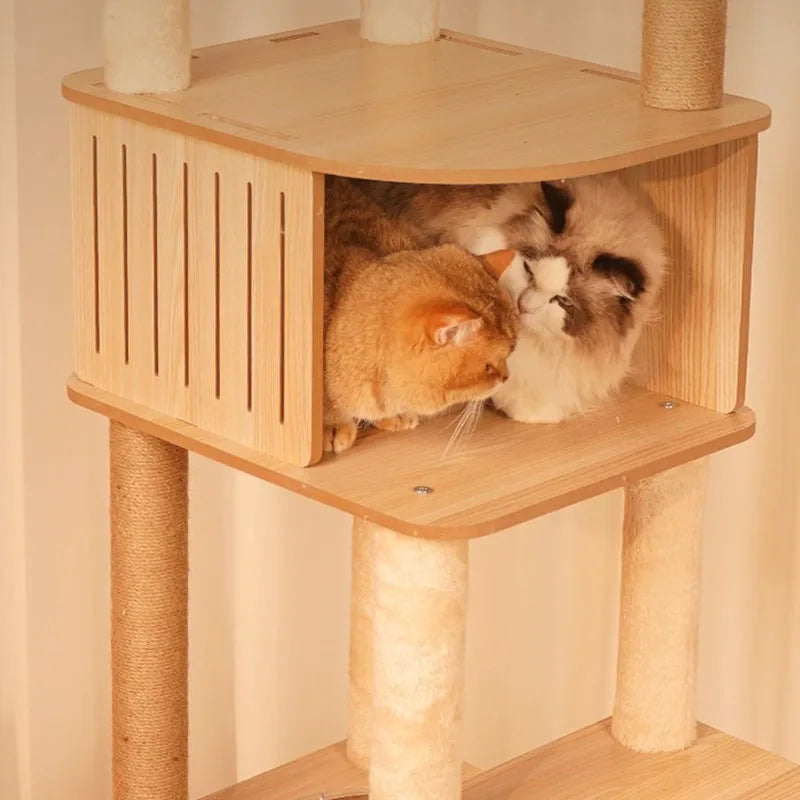 Designer cat tree - Wood - Félissime