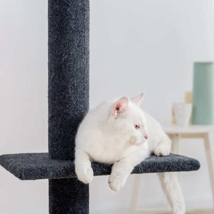 Maine Coon Cat Tree Adjustable from Floor to Ceiling - Model: "SkyTower"