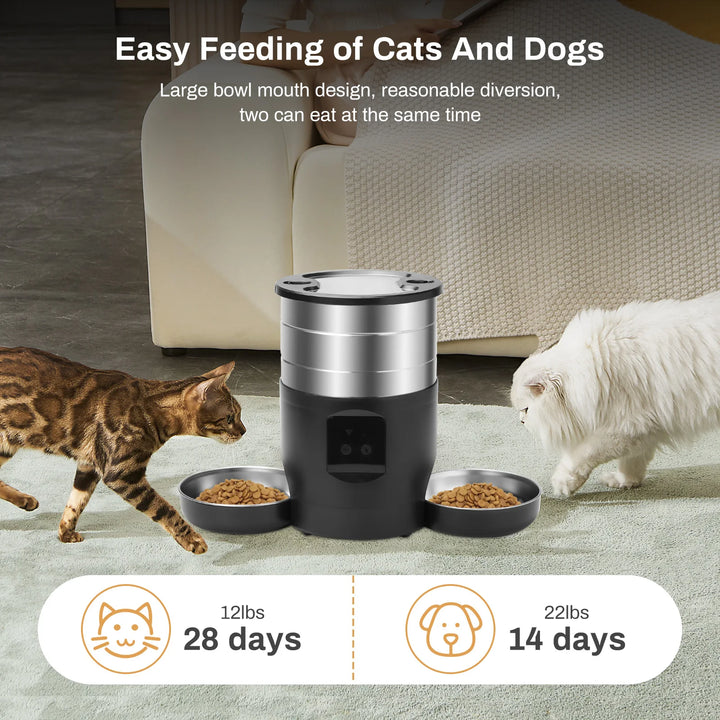 Distributeur automatique pour chats et chiens, noir et argent, capacité 12lbs, alimentation pour 28 jours.