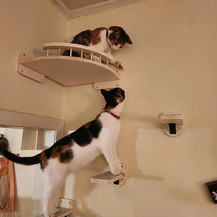 Wall-mounted cat tree - Wood, Hammock, ladder - NidMurale