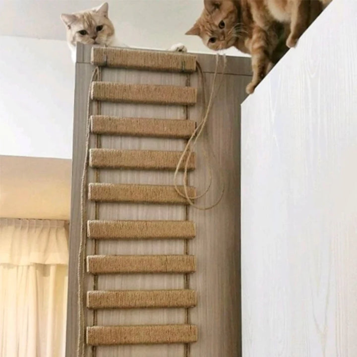 DIY Katzenhängebrücke / Leiter - CatAventure Model