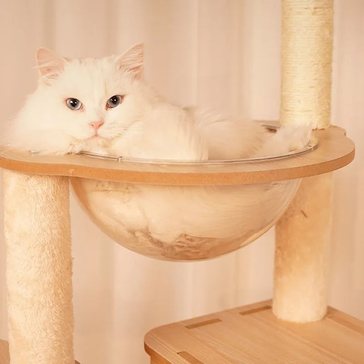 Designer cat tree - Wood - Félissime