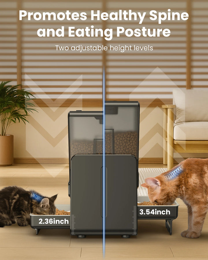 Distributeur de nourriture pour chat noir avec deux hauteurs réglables, favorisant une bonne posture alimentaire.