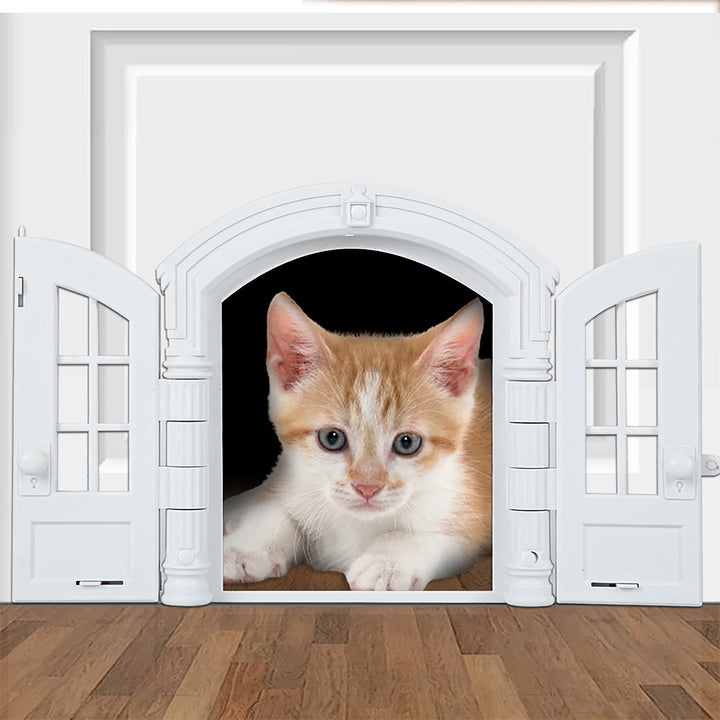 chatière pour chat élégante