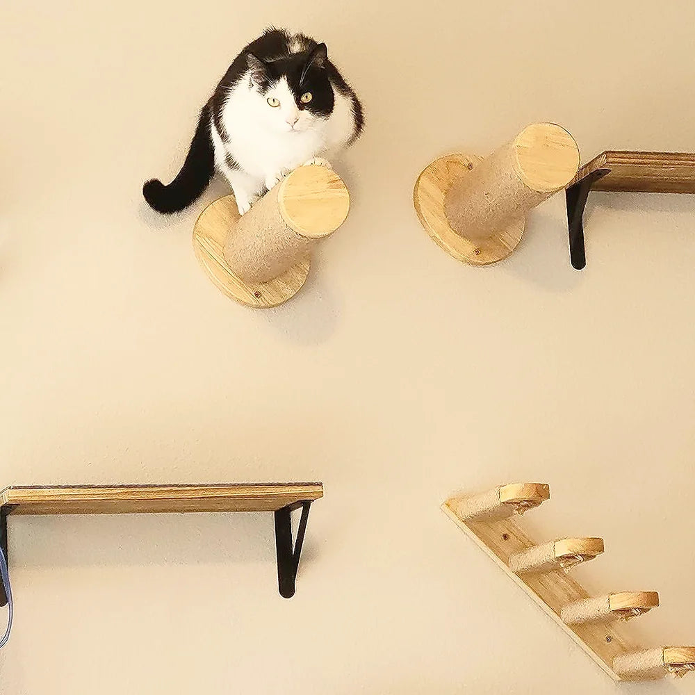 Nest wooden moon hammock cat tree