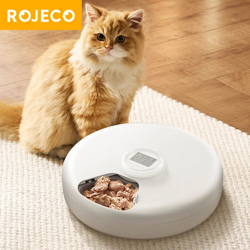 Distributeur automatique de nourriture pour chat blanc avec viande, idéal pour les félins gourmands.