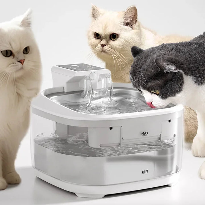 Fontaine à eau pour chats blanche, design moderne, circulation d'eau optimale et filtre intégré.