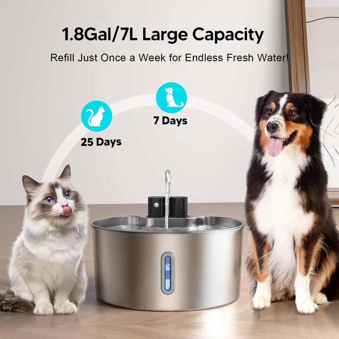 Fontaine à eau pour animaux 1.8Gal/7L, en acier inoxydable, fournit de l'eau fraîche pendant 25 jours.