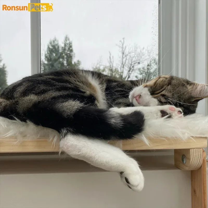 Katzenfensterplattform aus Holz
