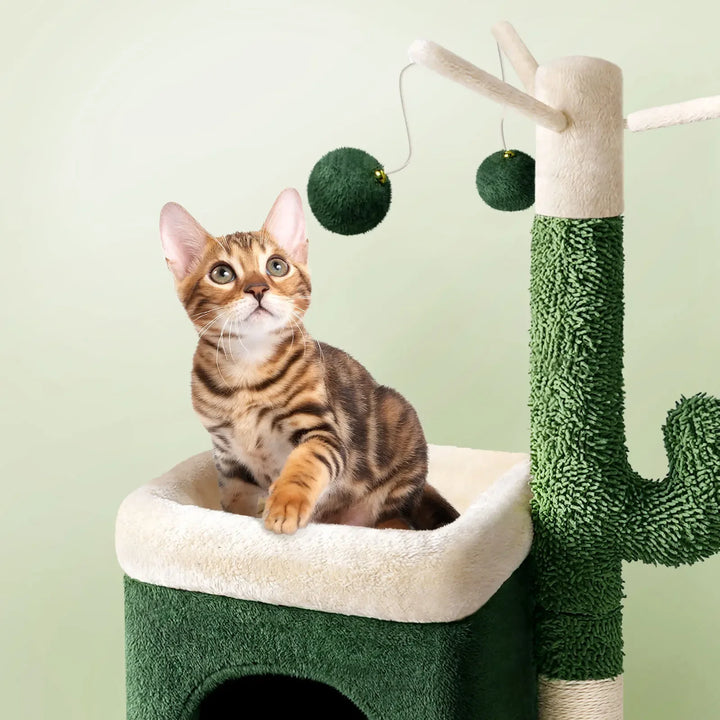 Cactus cat tree with cozy nest - Model: "Cactolove"