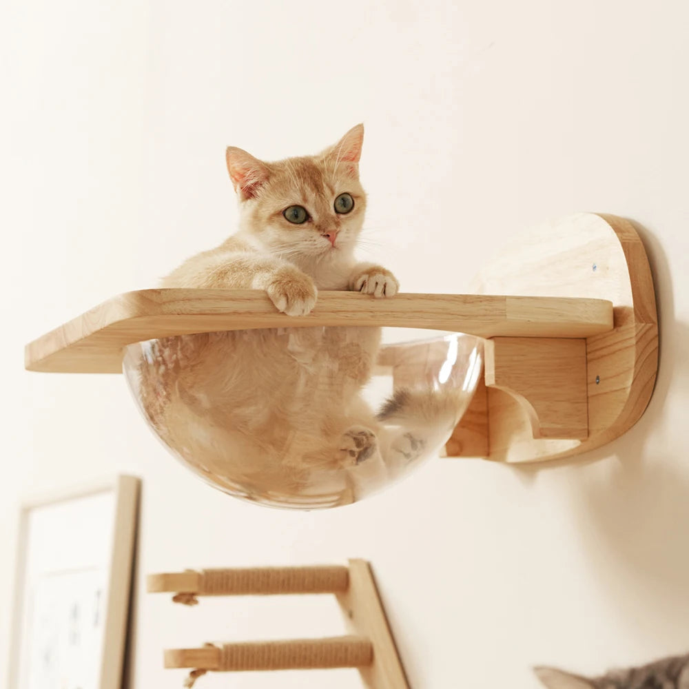Wall-mounted cat tree - Space capsule - NidGrimpeur