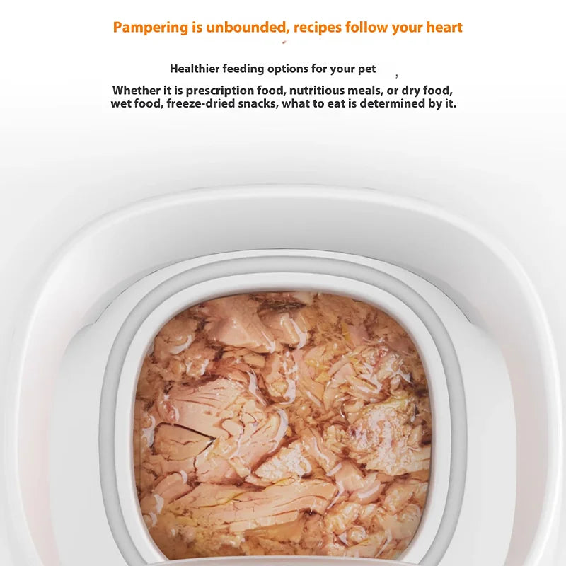 Alimentation humide saine pour animaux, viande en sauce, options variées et nutritives.